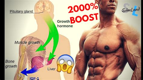 ultimate guide to boost growth hormone naturally siim land