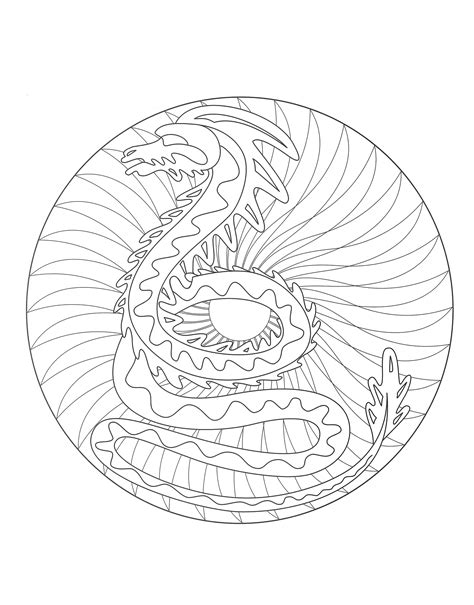 mandala dragon  malas adult coloring pages page