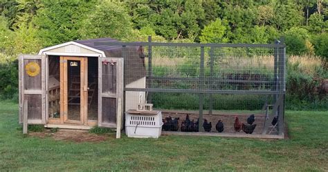 converting  shed   chicken coop simple living country gal