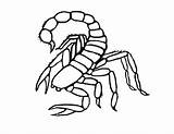 Scorpion Coloring Pages Color Scorpio Print Kids Printable Animals Drawing Easy Kombat Mortal Animal Getdrawings Sheets Getcolorings Bestcoloringpagesforkids Lovely sketch template