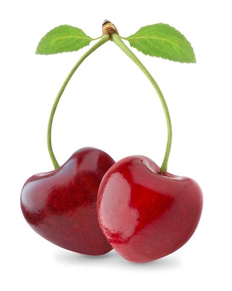 cherry aquabalance