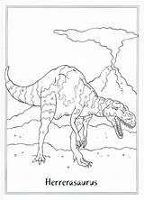 Kleurplaten Kleurplaat Dinosaurus Herrerasaurus Dinosauri Dinosaurussen Animaatjes Dinosaurier Dinosaurs Dinosaur Dinosaure Stampare Pianetabambini Coloriages Basteln Ausmalen Zum Lustige Malvorlage Tsgos sketch template