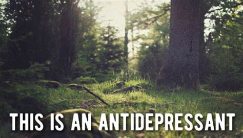 jenny chiu writes about meme that stigmatizes anti depressants