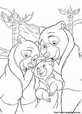 Bear Brother Koda Orso Oso Hermano Frere Dibujos Disegni Fratello Ours Kleurplaat Kenai Bärenbrüder Colorare Ausmalbild Tekening Malvorlagen Kiezen sketch template