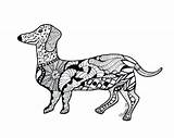 Coloring Dog Pages Dachshund Doberman Zentangle Wiener Colouring Color Animal Getcolorings Drawing Printable Weiner Dachshunds Adult Dogs Template Kids Weenie sketch template