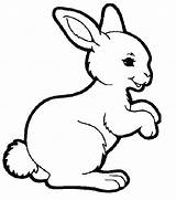 Coloring Rabbit Pages Bunny Colouring Sheets Kids Lapin Para Animal Easy Coloringpages1001 Coloriage Animals Cute Children Kleurplaat Baby Konijn Kaninchen sketch template