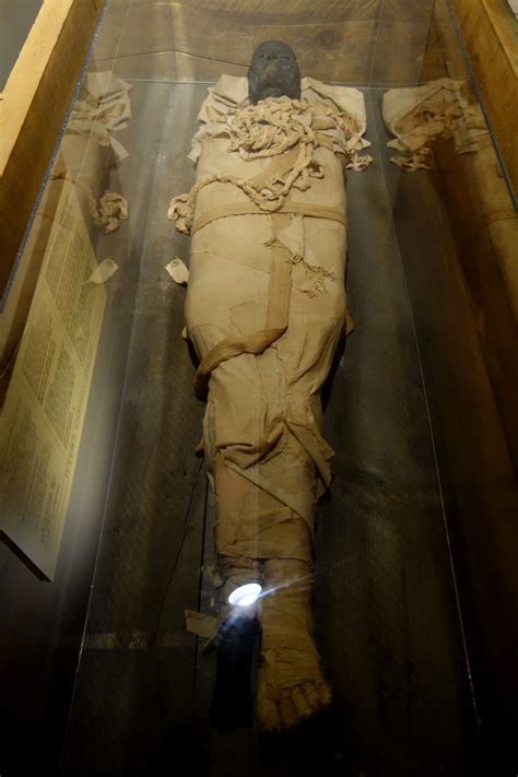 mummification process   ancient egyptians ancient egyptian african history truths