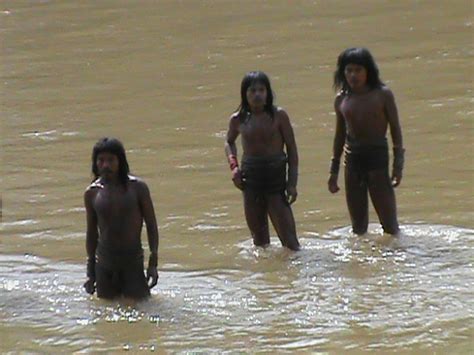 文明と接触したことのない原住民「イゾラド」を初めて撮影したnスペがすごいことになっている！ 国分拓ディレクター・独占インタビュー クーリエ