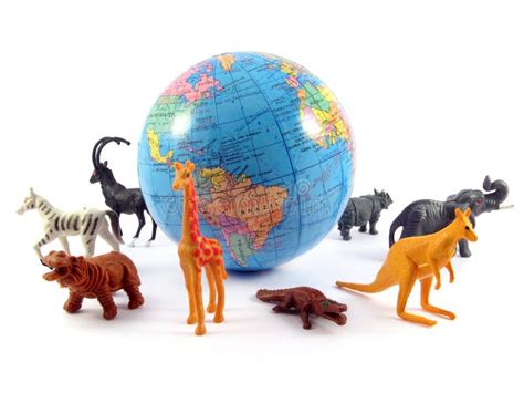 animals globe planet earth stock photo image  animals