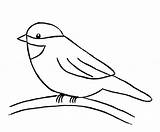 Pages Chickadee Coloring Bird sketch template