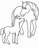 Horse Coloring Pages Adult Animals Young Animal Print Colt Printable Color Topcoloringpages sketch template