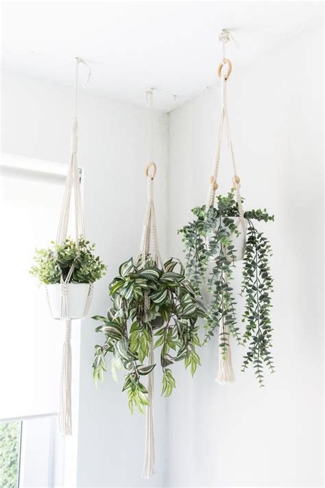 Fantastic Snap Shots Wall Hangings Plants Concepts In 2021 Hanging