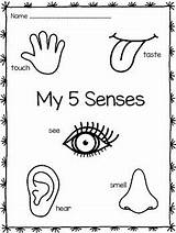 Senses Printable Kindergarten Aristotle Toddlers Sens Sensory Potato Teachers Craft Labels Clipground sketch template