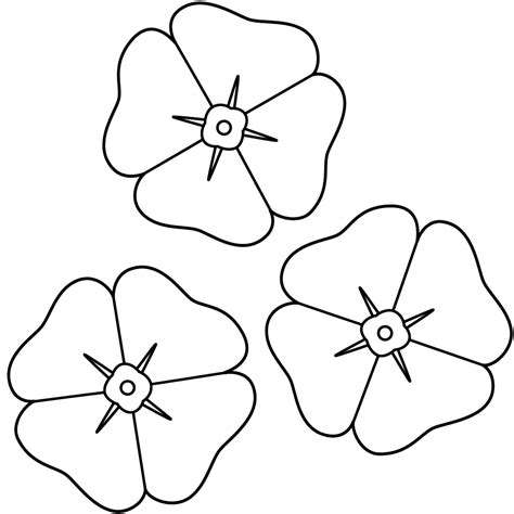 poppy coloring page poppy template remembrance day poppy