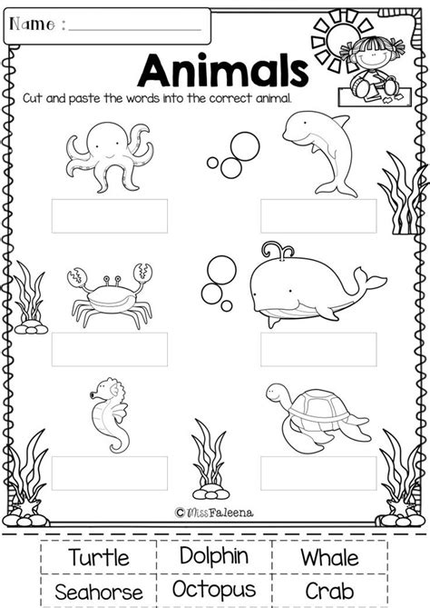 kindergarten morning work includes  worksheet pages  pages