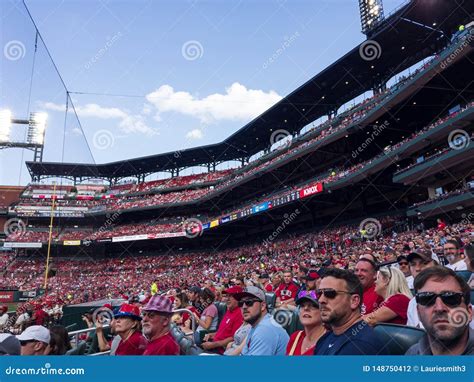 fans  busch stadium enjoying  cardinals baseball game    editorial photography