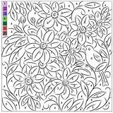 Nicole Clematis Color Number Florian Coloring Created Thursday May sketch template