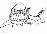 Megalodon Coloring Pages Getdrawings sketch template
