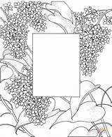 Coloring Frame Pages Printable Color Supercoloring Online Flowers Clipart Categories sketch template
