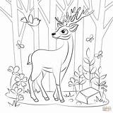 Deer Laying Tiger Siberian Mammals Fallow Deers Grizzly sketch template