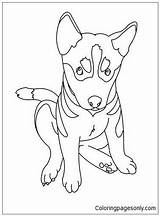 German Shepherd Puppy Coloring Pages Color Printable sketch template