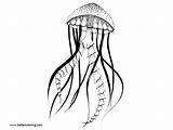 Jellyfish Coloring Pages Adult Kids Printable Adults Clipartmag Drawing sketch template