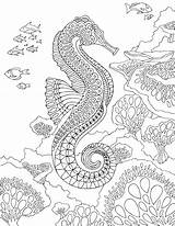 Coloring Sea Pages Seahorse Under Adult Zentangle Printable Therapy Ocean Adults Animal Pdf Mandala Sheets Mandalas Para Dibujos Por Fish sketch template