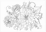 Coloring Chrysanthemum Flowers Loudlyeccentric Exquisite Amazingly Buzzle sketch template