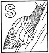 Kleurplaten Coloring Kleurplaat Snails Slakken Snail Siput Schnecken Malvorlage Ausmalbild Slak Malvorlagen Mewarnai Bergerak Schnecke Coloriages Colorare Animasi Escargots Animierte sketch template
