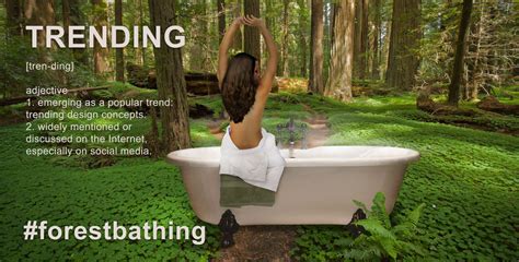Forest Bathing American Bath Factory