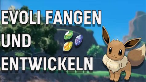 pokemon karmesin purpur evoli fangen  gehts