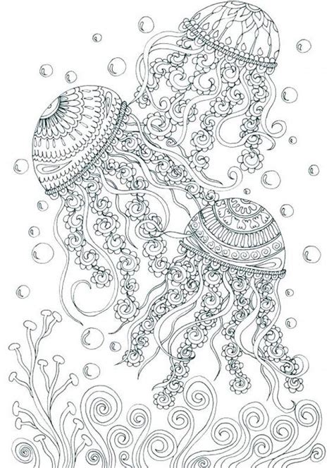 coloringrocks ocean coloring pages animal coloring pages fish