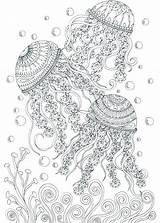 Coloring Pages Adult Adults Printable Summer Ocean Book Colouring Jellyfish Books Dementia Fish Dolphin Sheets Print Mandala Themed Animal Kids sketch template