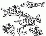 Fishes Kolorowanki Rafa Koralowa Ausmalbilder Koralle Dzieci Dla Coloringhome sketch template