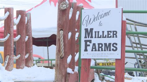 miller farms  harvest  return   year hiatus newscom
