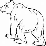 Grizzly Bear Coloring Pages Bears Printable Alaskan Categories sketch template