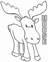 Moose Coloring Pages Drawing Print Printable sketch template