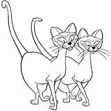 Tramp Cats Siamese Ragdoll Clochard Familyfriendlywork Coloriages Doghousemusic Colorkiddo sketch template