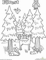 Coloring Pages Worksheets Forest Preschool Animal Camping Kindergarten Printable Nature Colouring Kids Worksheet Tree Printables Animals Color Woodland Sheets Education sketch template