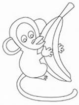 Monkey Coloring Outline Pages Colouring Banana Comments Ws sketch template