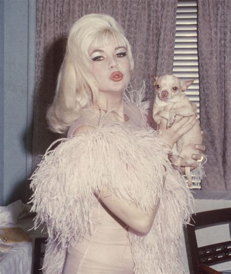 jayne mansfield with a chihuahua 1970s hollywood sex symbol jayne