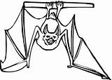 Bat Upside Bats Nietoperz Fledermaus Kolorowanki Morcego Kleurplaten Testa Dzieci Vleermuis Druku Giu Pipistrello Ausmalbild Pendurado Baixo sketch template