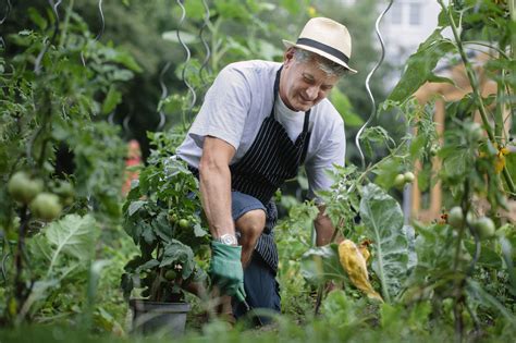 frugal gardening tips  practices