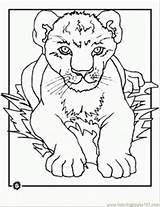 Lion Coloring King Cub Pages Printable Cartoons Color sketch template