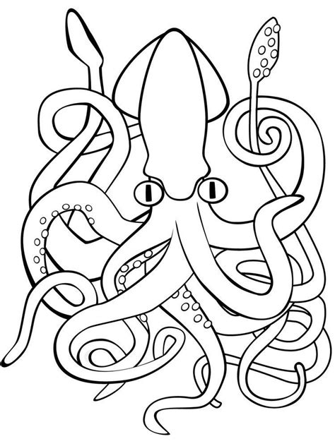 squid coloring page animal coloring pages whale coloring pages