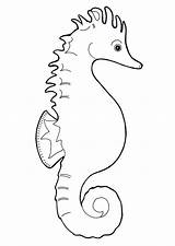 Caballito Seahorse Zeepaardje Marino Kleurplaat Cavalluccio Seepferdchen Malvorlage Hippocampe Caballitos Imprimir Coloriage Kleurplaten Ausmalbilder Ausmalbild Seepferd Stampare sketch template
