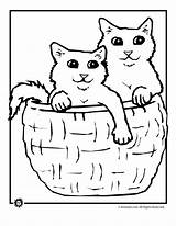 Kittens Coloring Print Pages Cat sketch template