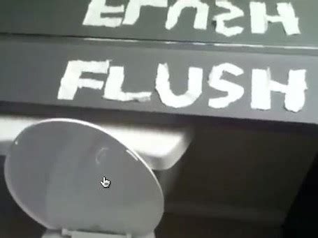 flush vidtionary  video dictionary
