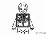 Xray Coloring Kid Pages sketch template