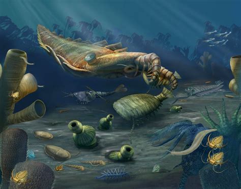 cambrian earth  explosion  evolution earthly universe